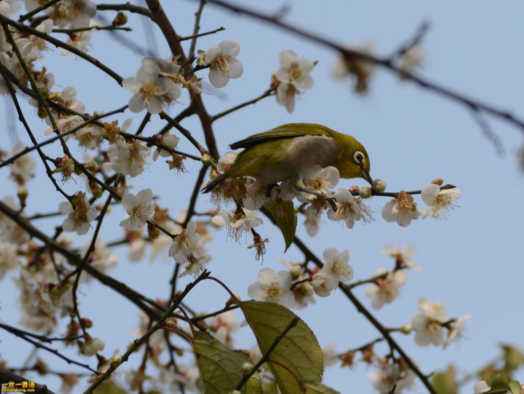 DSC_1808.JPG