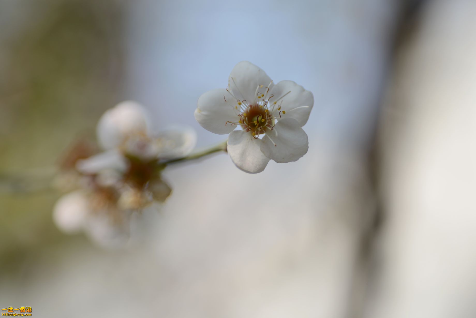 DSC_1872.JPG