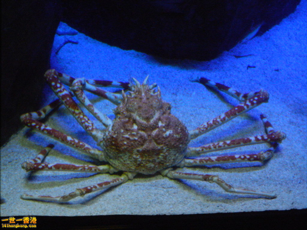 DSCN3769.JPG