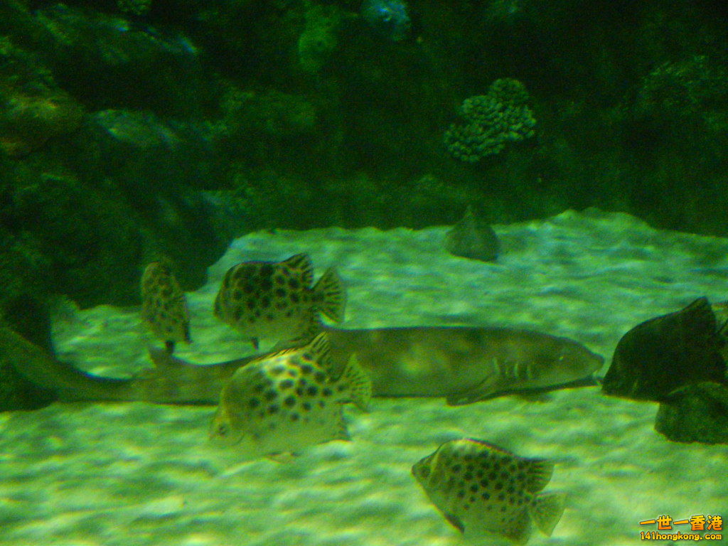 DSCN3757.JPG