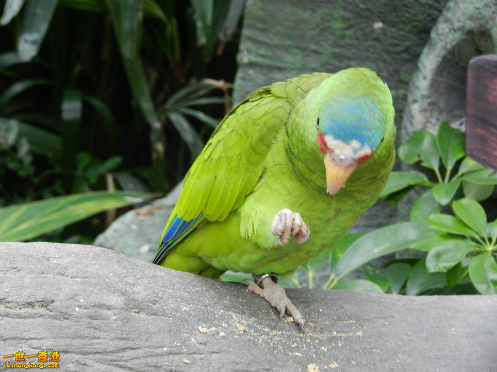 DSCN4773.JPG