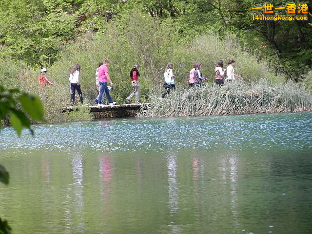 DSCN9203.JPG