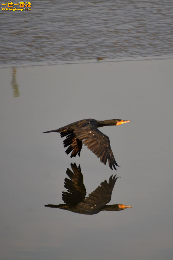 DSC_0795.jpg