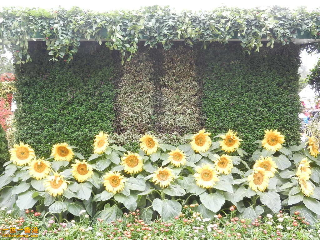 DSCN8580.JPG