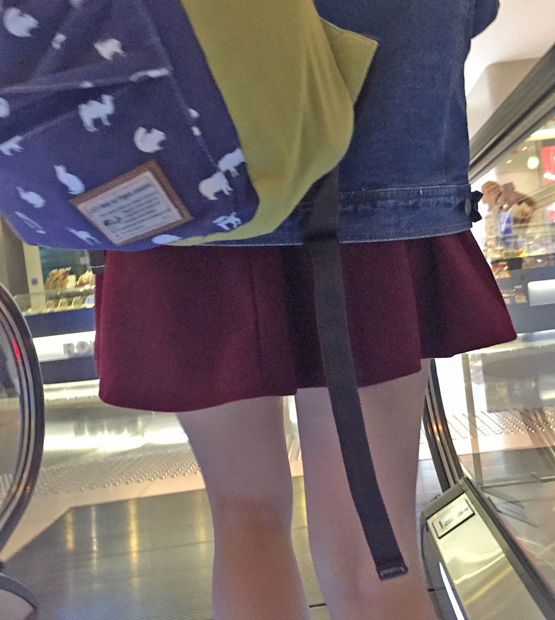 照片 2678.JPG