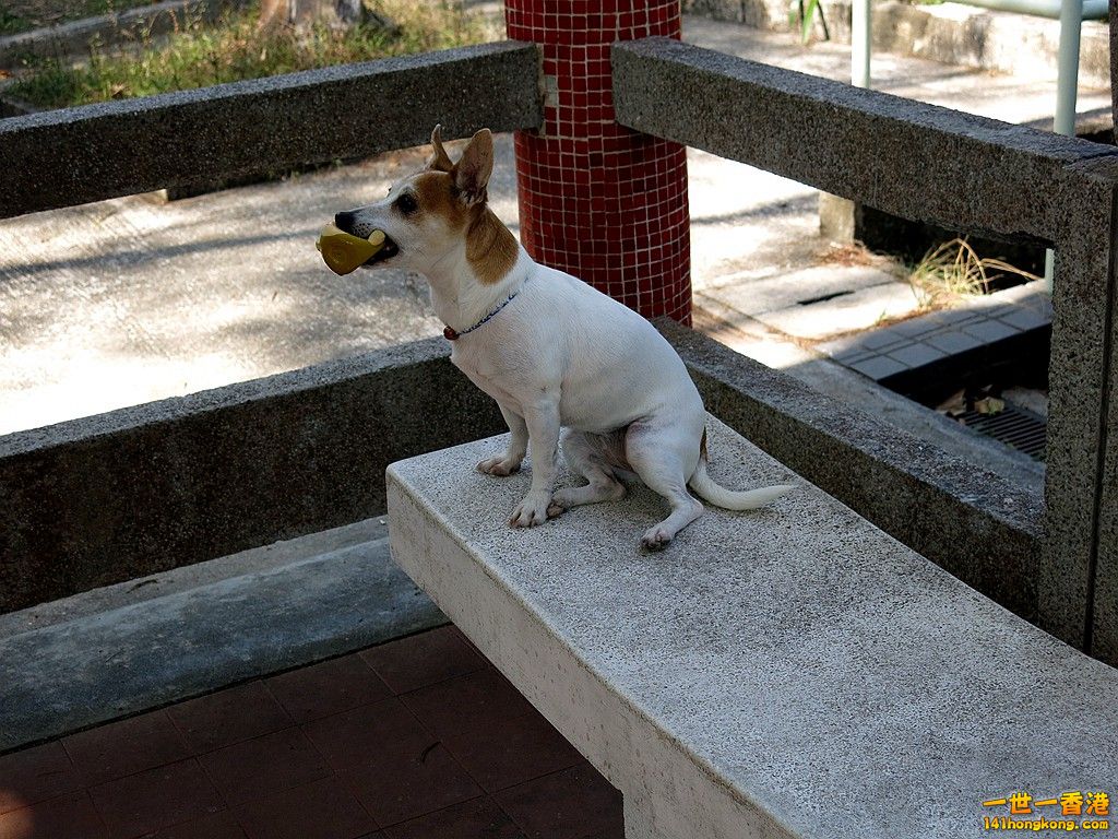IMG_6081.JPG