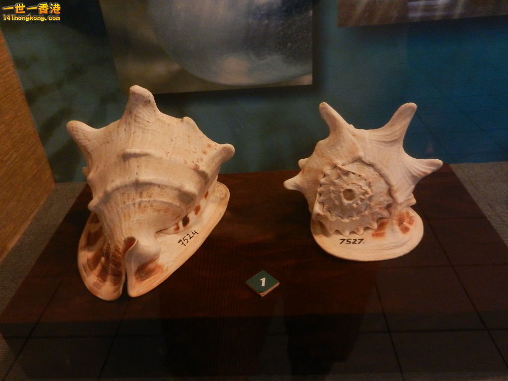 DSCN9898.JPG