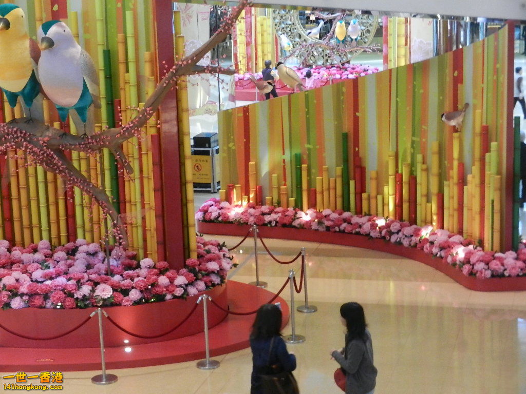 DSCN3920.JPG