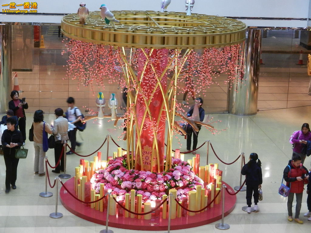 DSCN3896.JPG