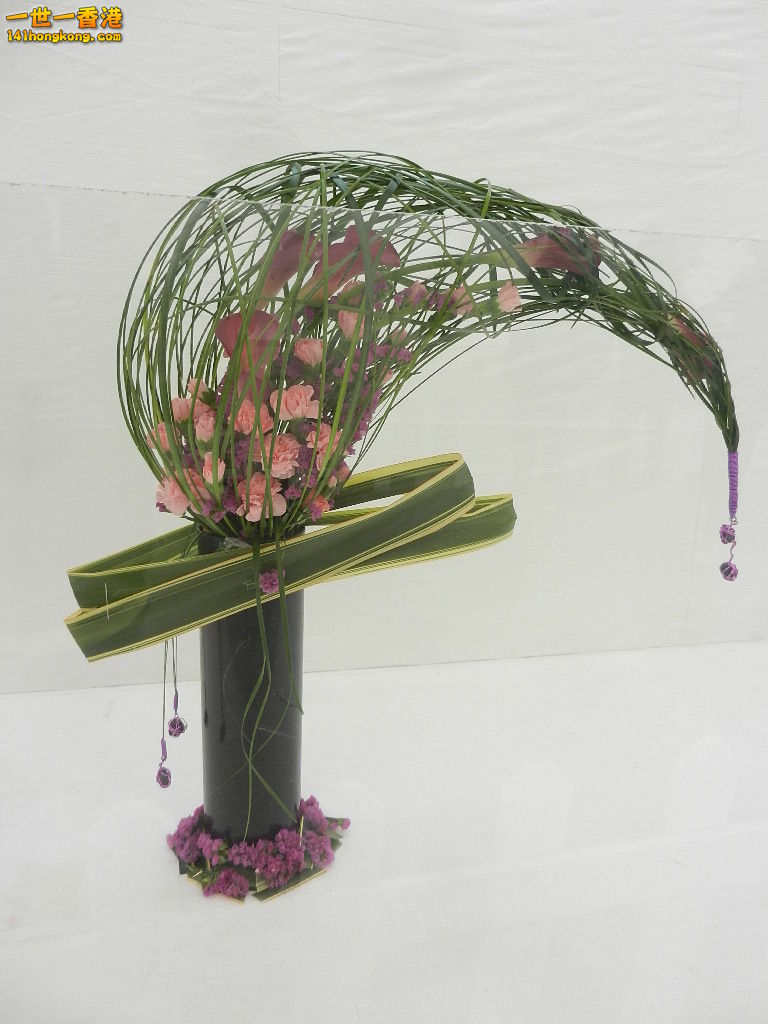 DSCN8658.JPG