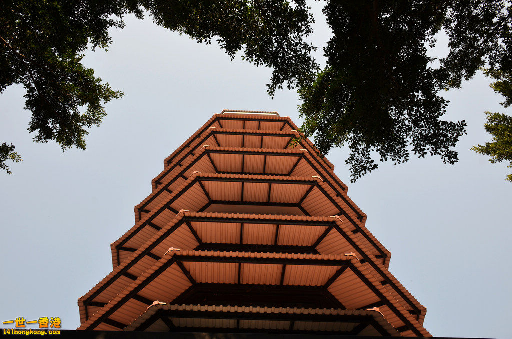 DSC_0966.jpg
