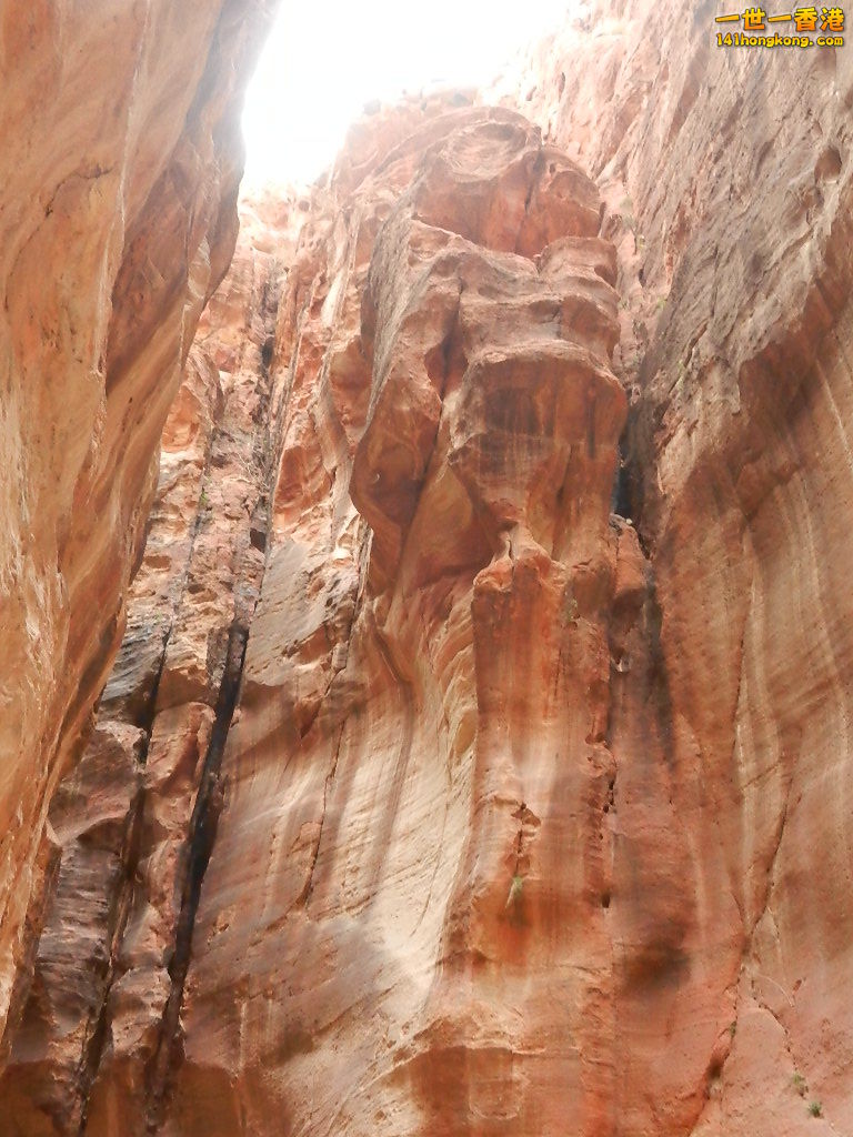 DSCN7063.JPG