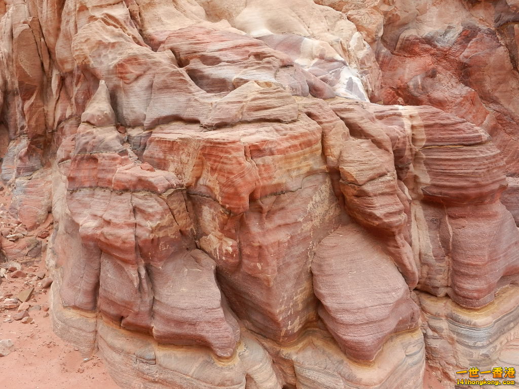 DSCN7137.JPG