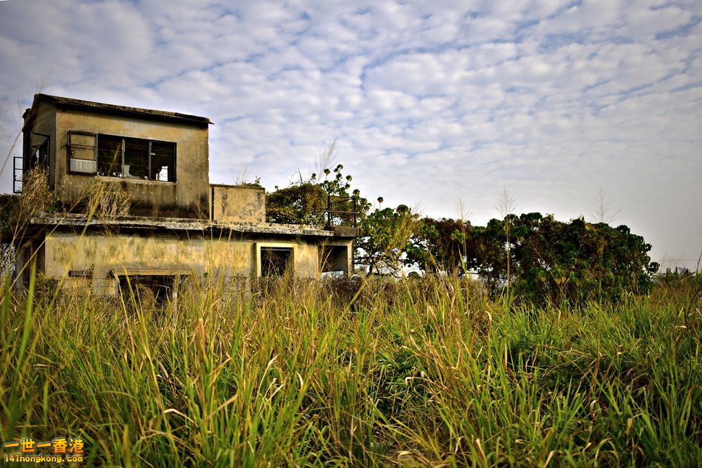 _DSC3489A.jpg