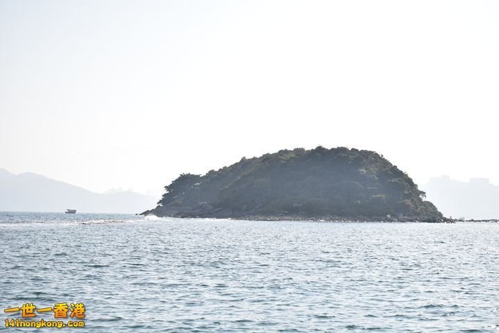 DSC_0037.JPG