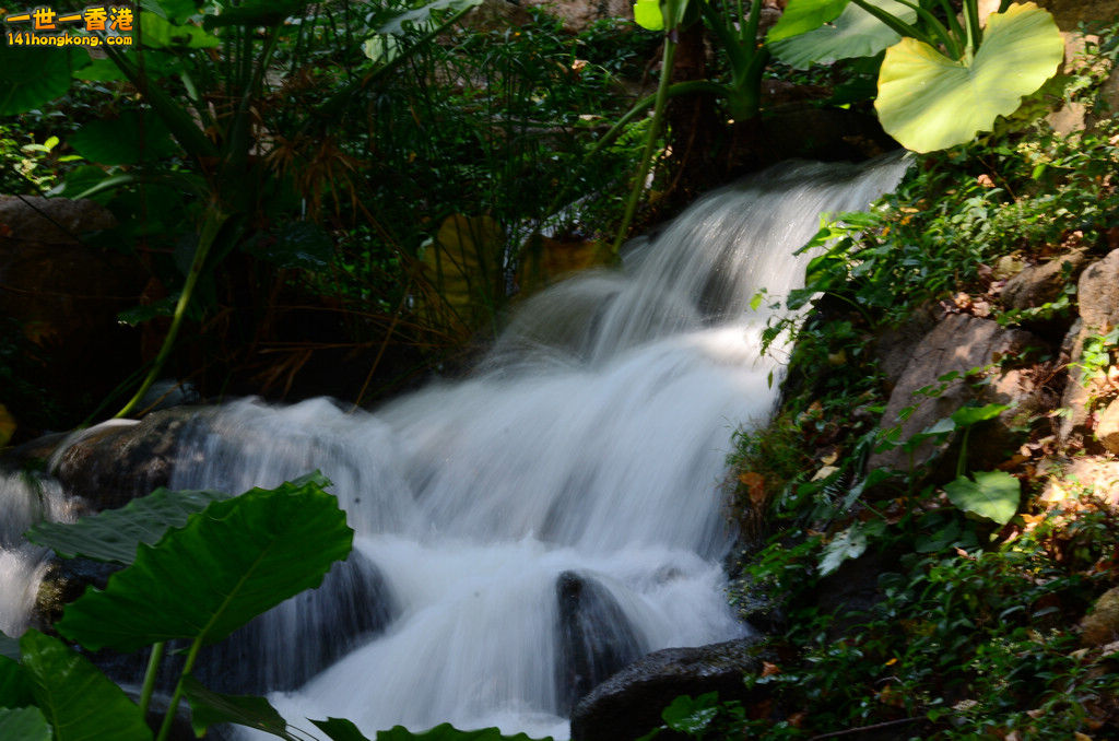 DSC_1027.jpg