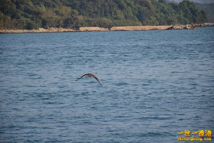 DSC_0040.JPG