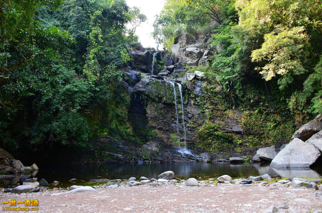 DSC_1142.jpg