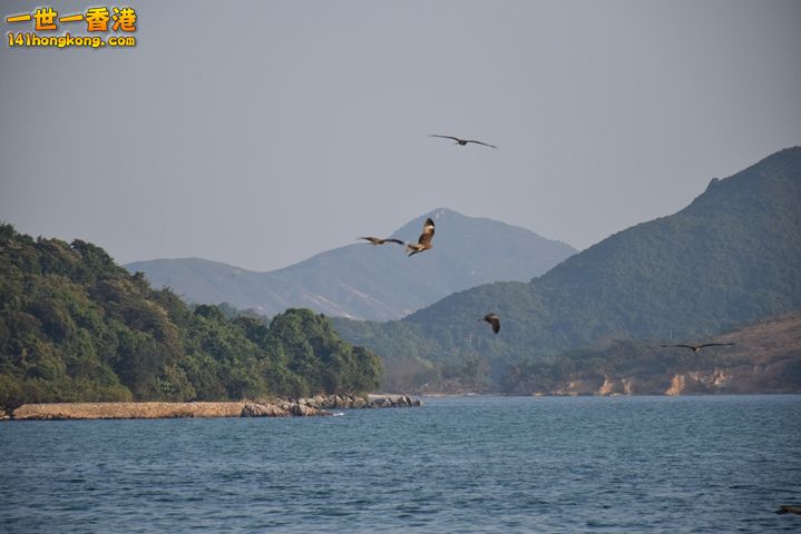 DSC_0041.JPG
