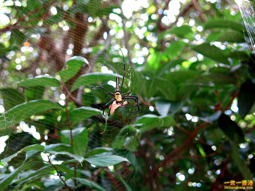 IMG_5580.JPG