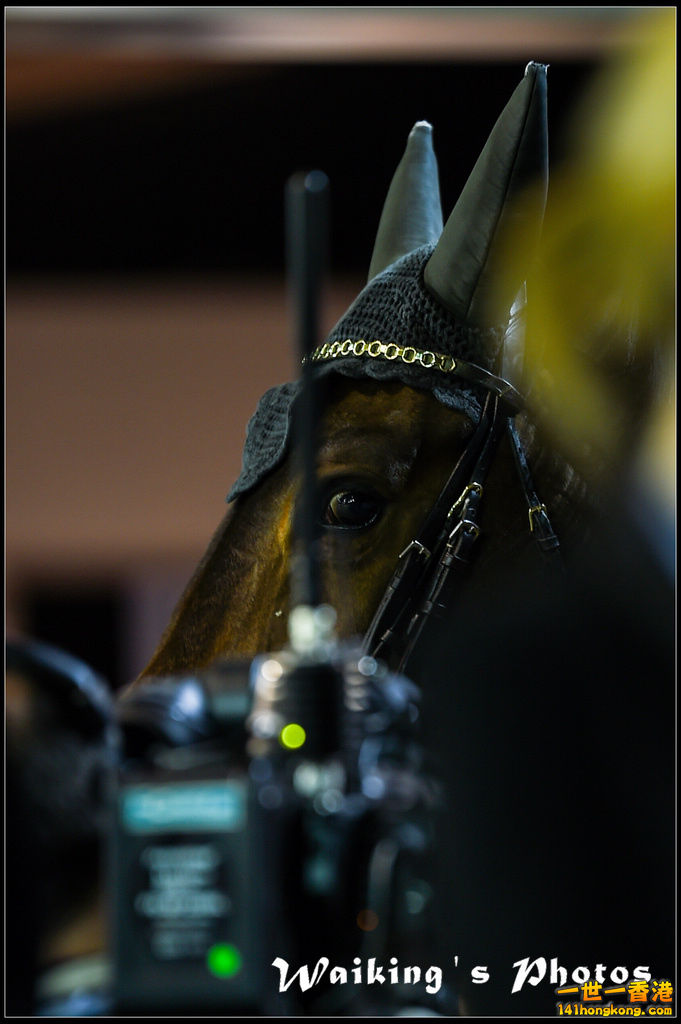 150213 HKMasters - 0114.jpg