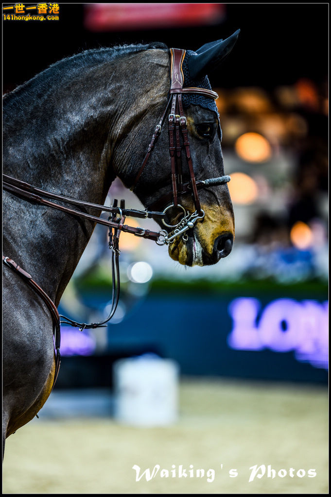 150213 HKMasters - 0207.jpg