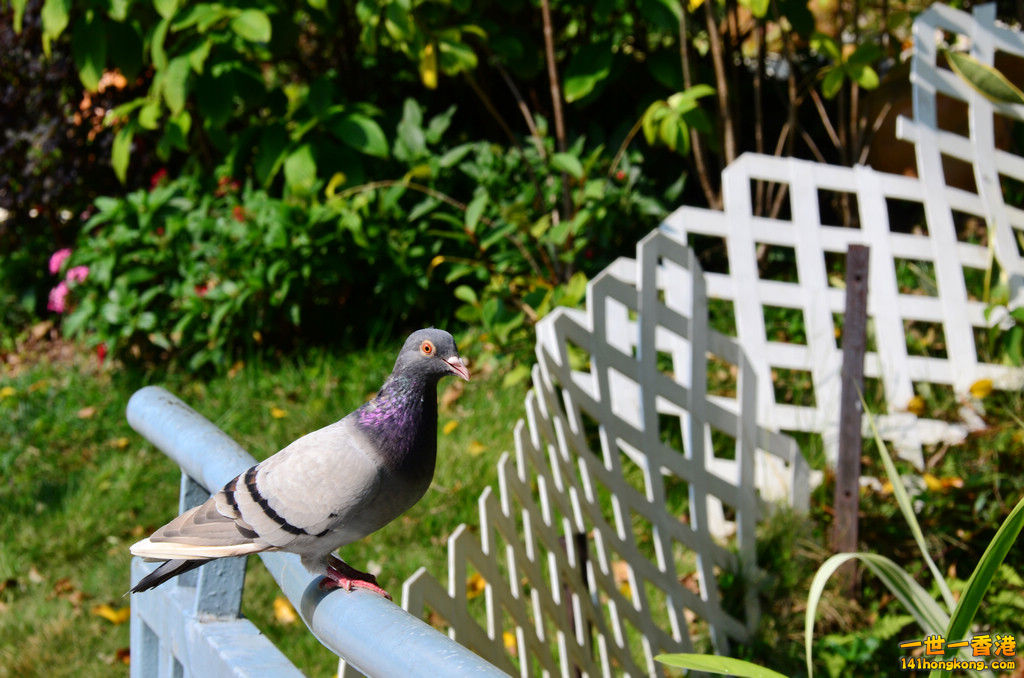 DSC_1012.jpg