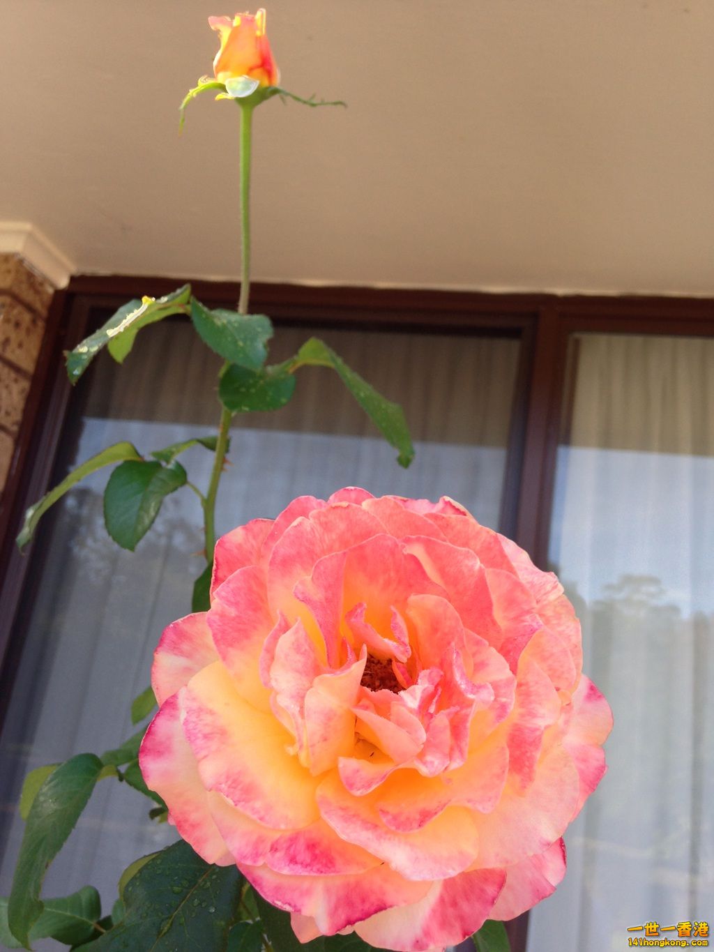 IMG_7190_副本.jpg