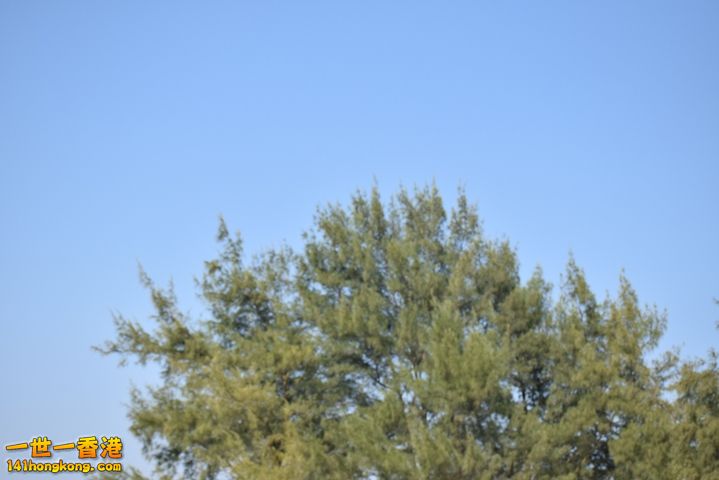DSC_0042.JPG