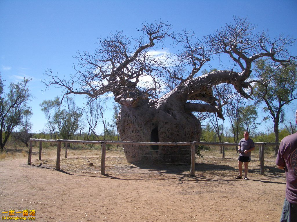050527 047.JPG