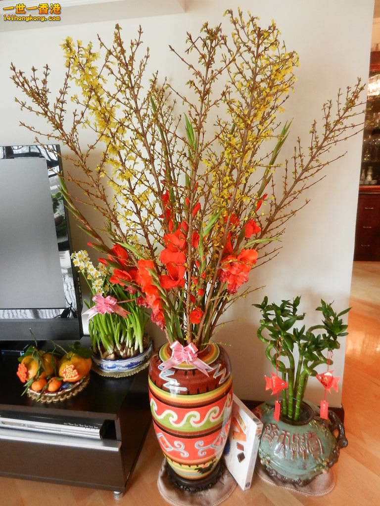 DSCN1248.JPG