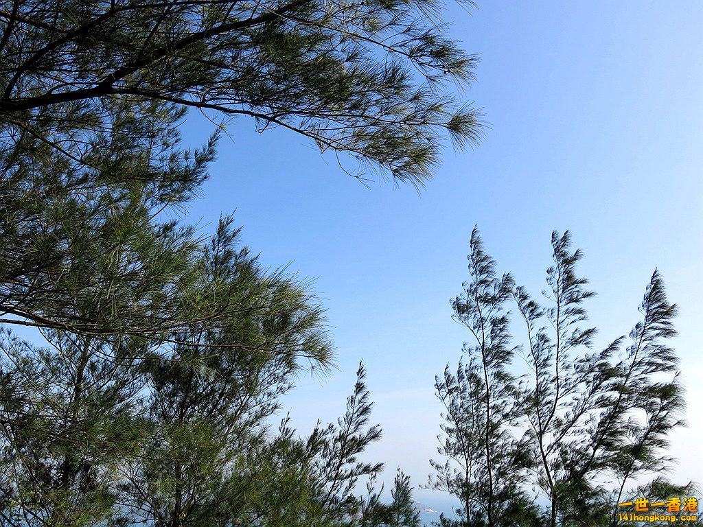 IMG_6139.JPG