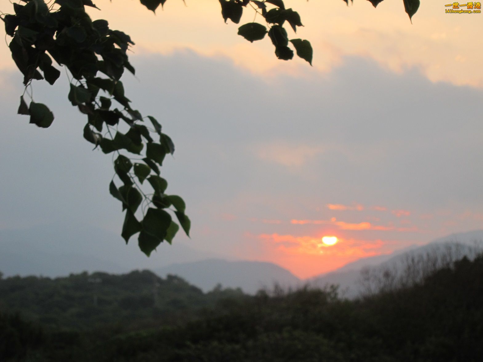 IMG_8530.JPG