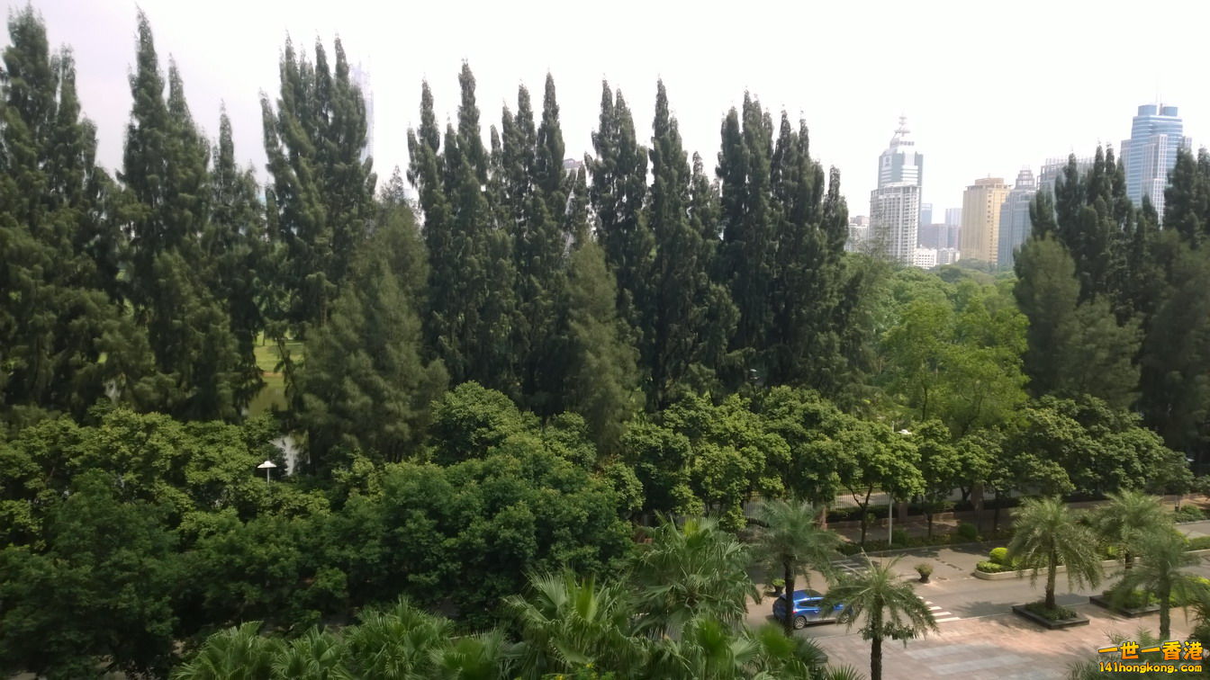 WP_20140929_12_51_41_Pro__highres_调整大小.jpg