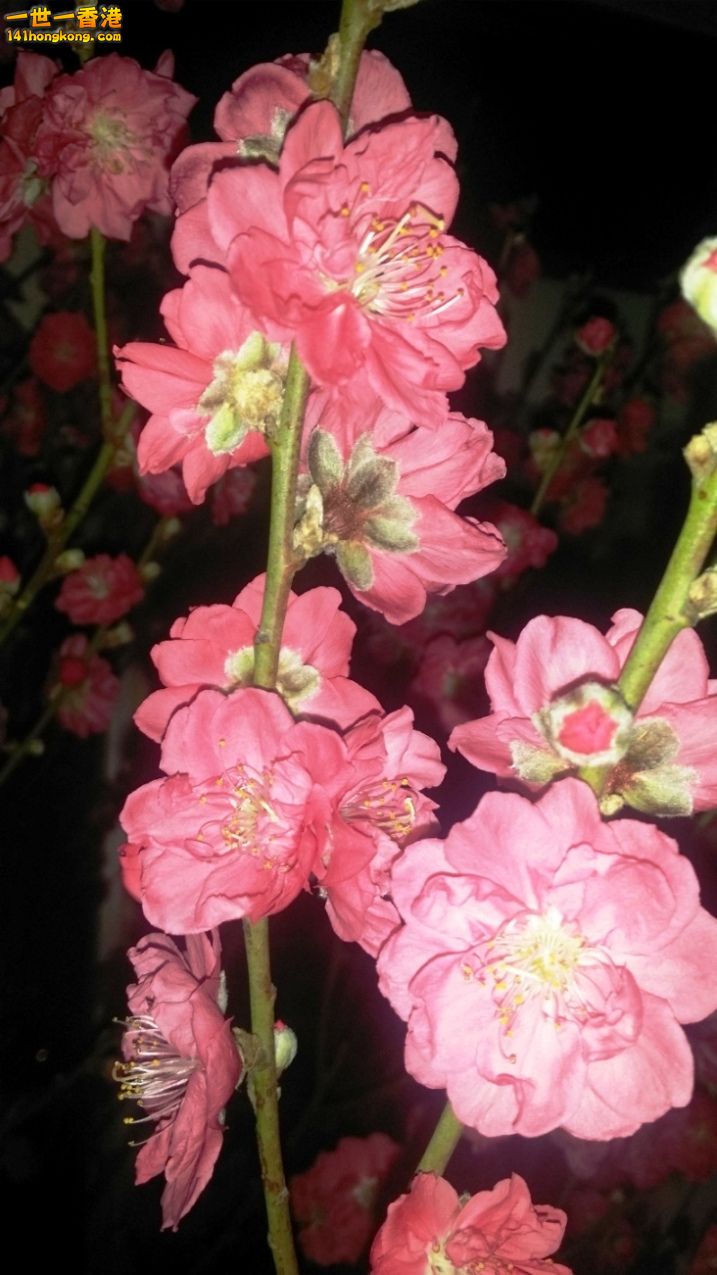 20150221_225056.jpg