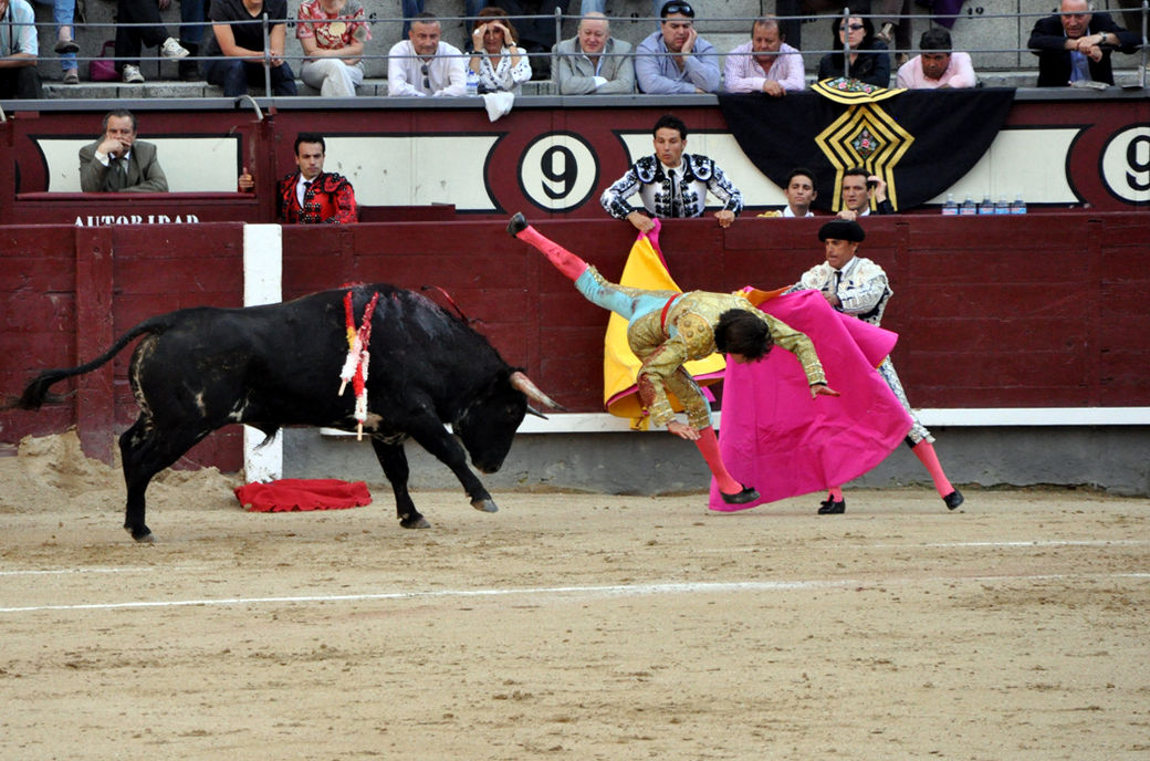 ouch-that-must-hurt-madrid-bullfight-spain-spain+1152_12928076647-tpfil02aw-21036[1].jpg