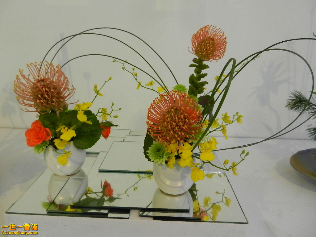 DSCN4404.JPG