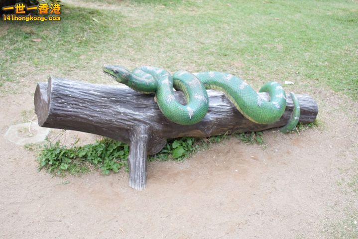 DSC_0149.JPG