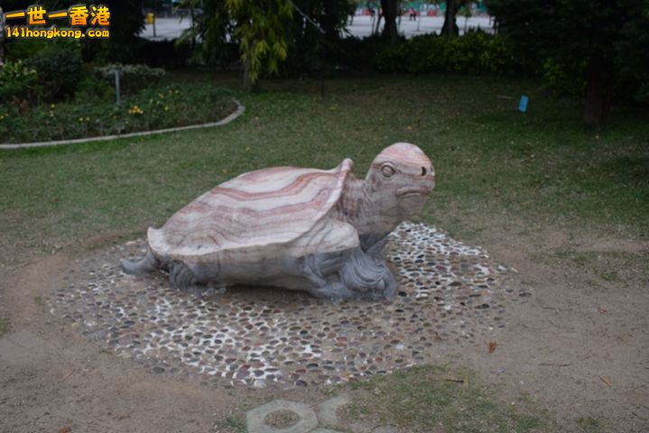 DSC_0148.JPG