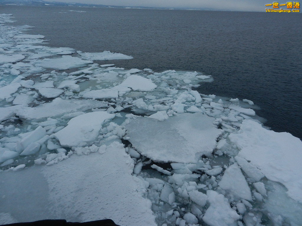 DSCN4506.JPG