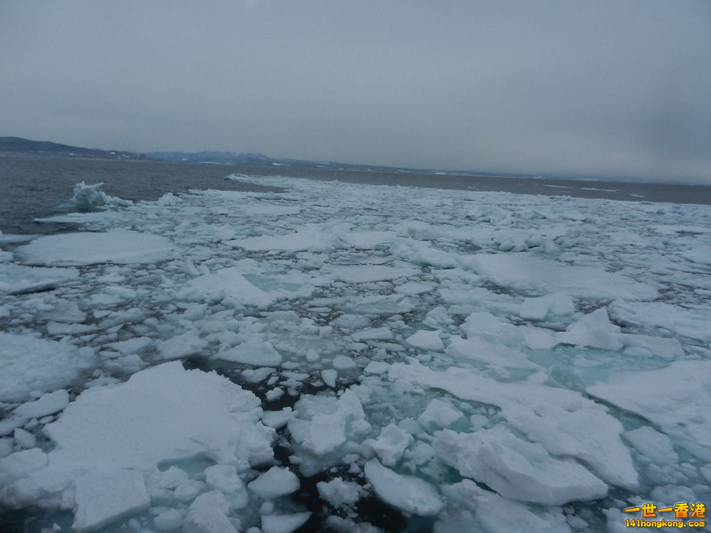 DSCN4503.JPG