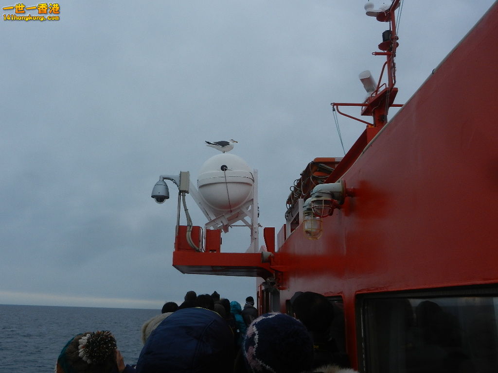 DSCN4494.JPG