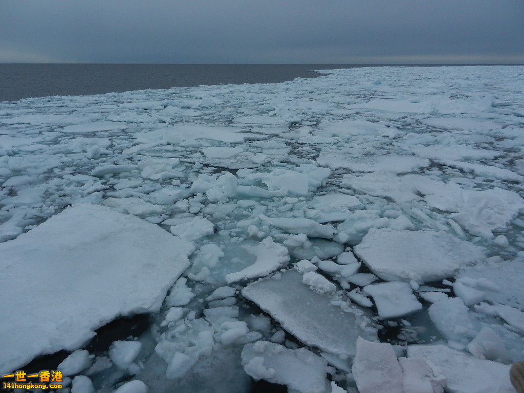 DSCN4512.JPG