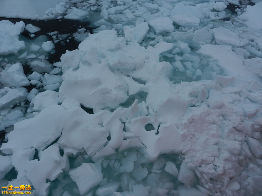 DSCN4515.JPG