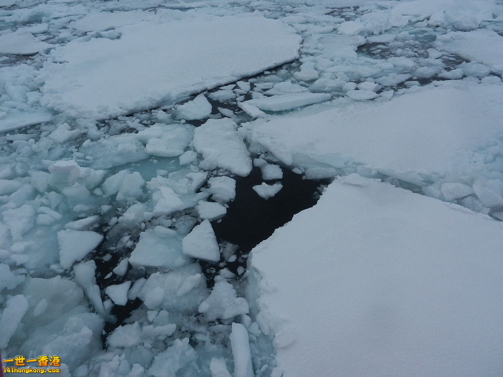 DSCN4513.JPG