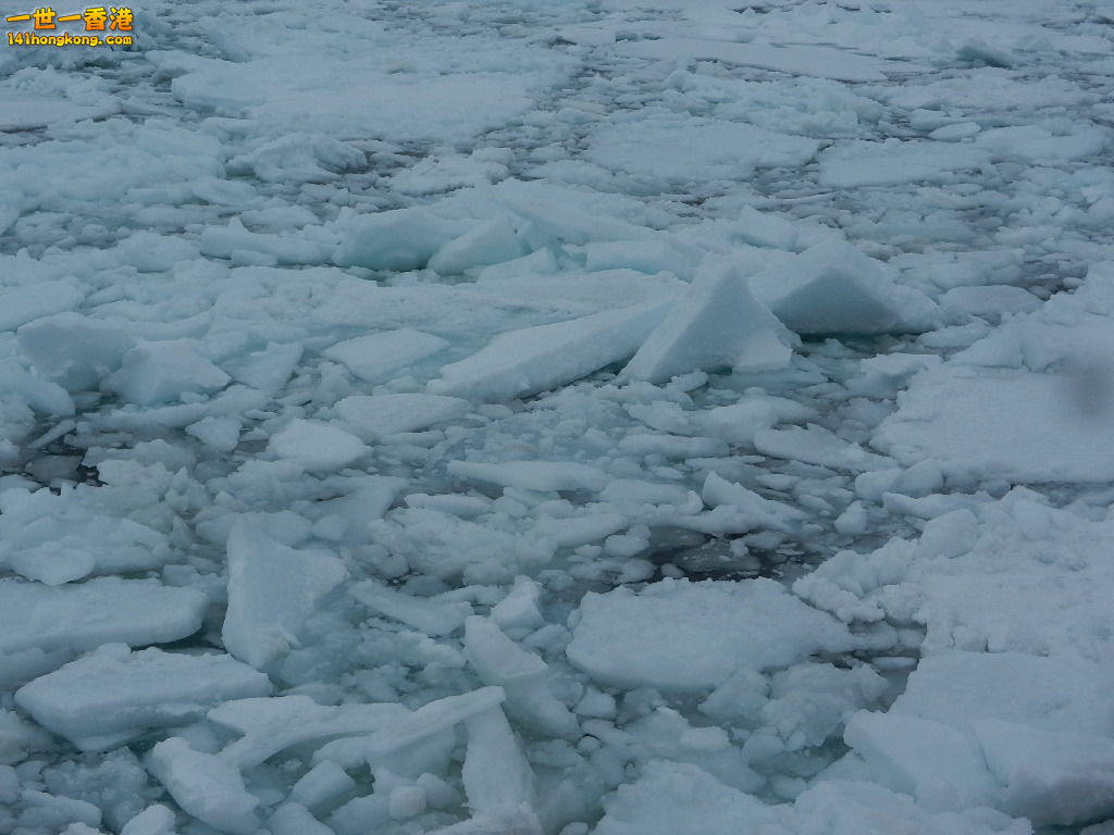 DSCN4518.JPG