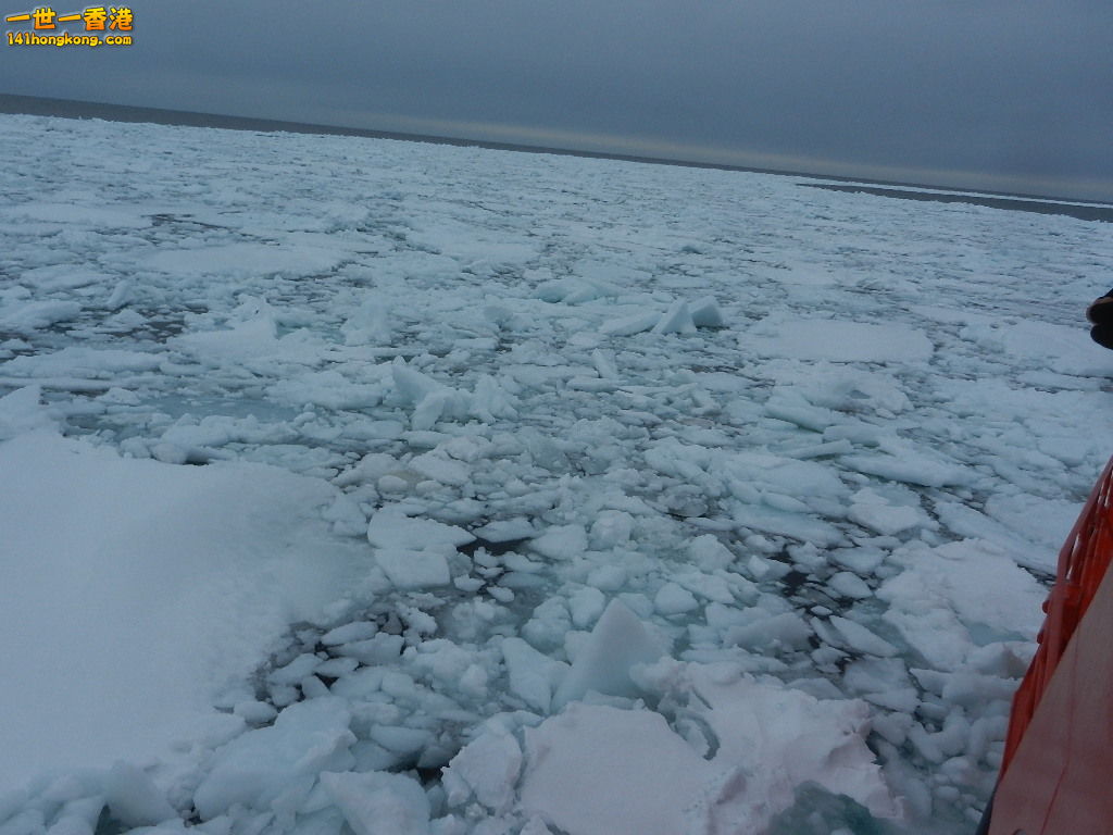 DSCN4517.JPG
