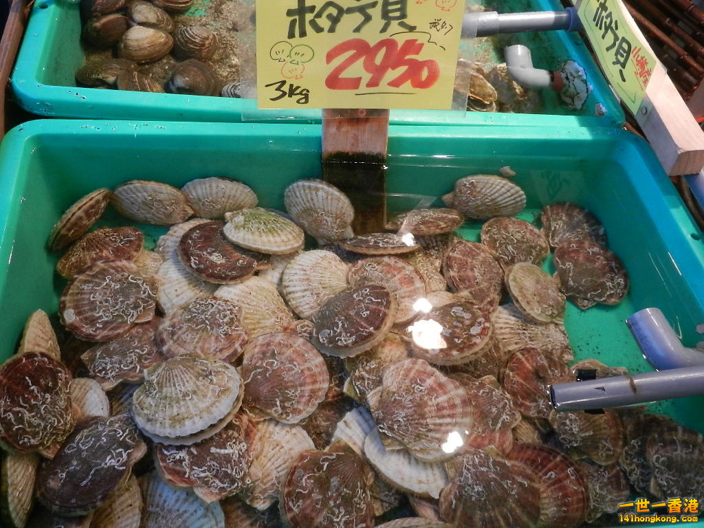 DSCN4636.JPG