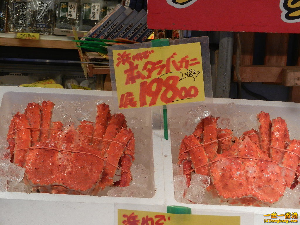 DSCN4638.JPG