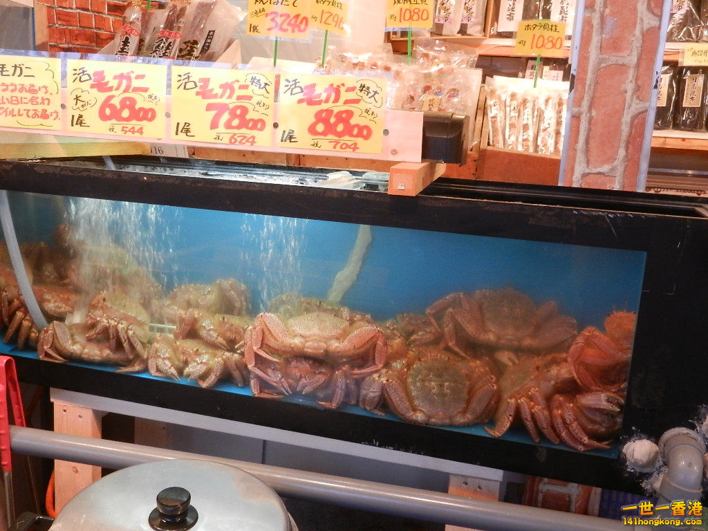 DSCN4635.JPG